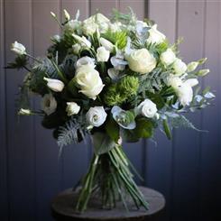 Winter White