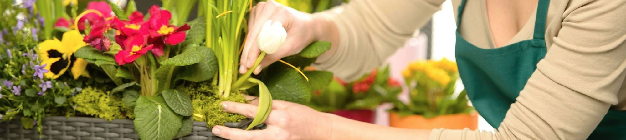 Maureen's Florist